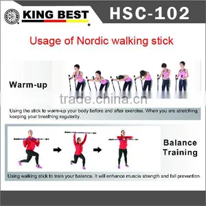 KING BEST 2016 Wholesale Carbon Trekking Pole 2-SECTION Hiking Mountaineering Stick thumbnail-6