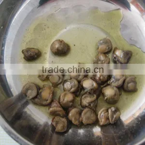 High Quality Canned Smoked Scallops in Oil thumbnail-5