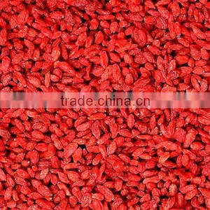 Premium Chinese Ningxia Goji Berry Natural Qinghai Herbs Gou qi zi Sleep Herbs Tea Dried Wolfberry Herbal Tea thumbnail-3