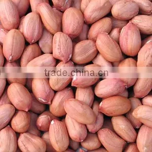 Peanut Kernels thumbnail-1