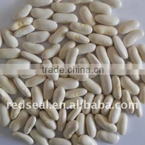 Yunnan Organic White Kidney Beans thumbnail-1