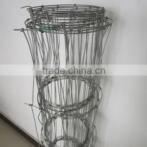 Shijiazhuang S D Company Ltd. company overview - view 4 thumbnail