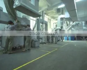 Guangdong Girafe Fine Chemical Co., Ltd. company overview - view 3 thumbnail