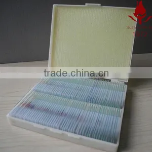 Hot Sale Prepared Histology Slides thumbnail-1