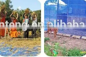 Thailand Hot Selling HDPE Blue Woven Nylon Net(best Price With High Quality,short Delivery Time and Good Aftersale Service) thumbnail-5