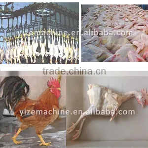 Vertical Rubber Fingers Chicken Plucker / Large Chicken Unhairing Machine thumbnail-6