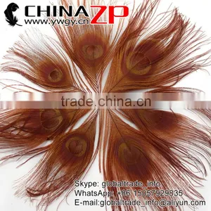 CHINAZP Factory Bulk Sale Top Selling Dyed Brown Trimmed Short Peacock Feathers for Clothes Accessories thumbnail-1