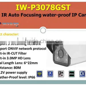 IW-P3078GST 3.0MP Night Vision ONVIF IP CCTV Camera thumbnail-1