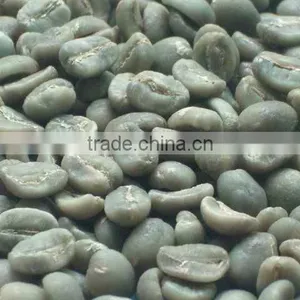 Green Coffee Bean thumbnail-1