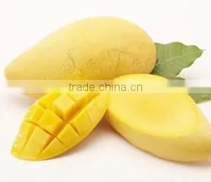 Mango thumbnail-1