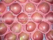 Fresh Apple From Shandong,China thumbnail-1