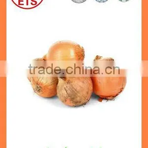 Export China Fresh Organic New Crop Red and Yellow Onion thumbnail-3