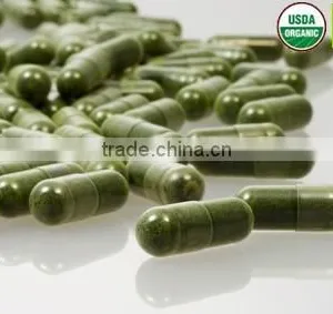 EU & USDA Organic Matcha Wholesale thumbnail-5