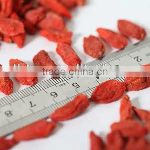 Superfine China Barbary Wolfberry Fruit thumbnail-3