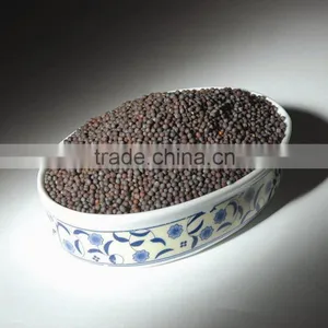 Mustard Seeds Yellow & Black thumbnail-1