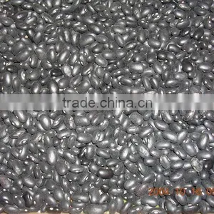 Small Black Beans thumbnail-1