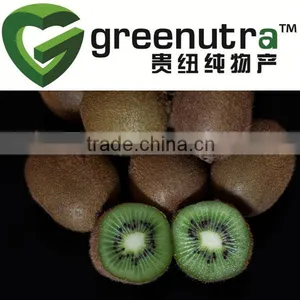 Fructus Actinidiae Chinensis Fruit Extract thumbnail-1