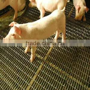 Plain Crimped Wire Mesh for Farmer thumbnail-1