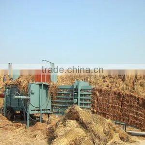 Hydraulic Full-automatic Horizontal Baler Machine for Eucalyptus Leather/cardboard Baling Press Machine thumbnail-5