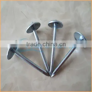 Top Quality Roofing Nails With Pvc Washer Trusted Chuanghe Suppliers From Com thumbnail-4