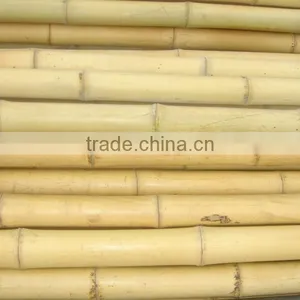 Structural Bamboo Pole thumbnail-1