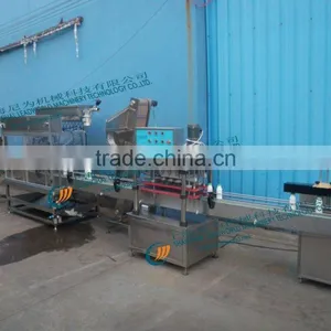 Table Top Liquid Filling Machine thumbnail-1