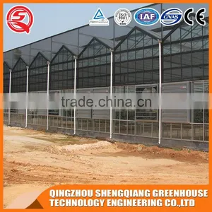 China Multifunction Multi-span Venlo Glass Greenhouse for Flowers thumbnail-1