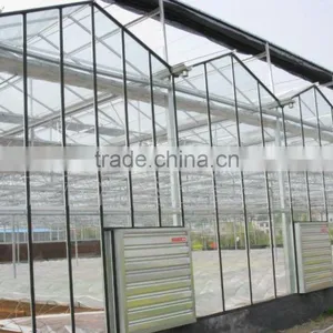 Glass in Greenhouse for Sale thumbnail-1
