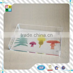 2016 Custom Design Acrylic Serving Tray Hot Sale Acrylic Food Tray PMMA Acrylic Tray With Insert Wholesale Pricce thumbnail-2