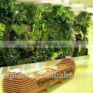 2017 Artificial Plants Walls & Vertical Decorative Wall thumbnail-1