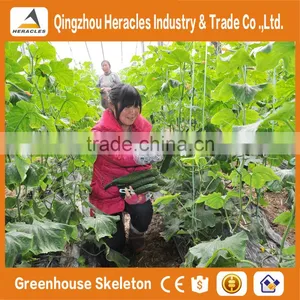 Heracles Trade Assurance Low Cost Greenhouse for Agriculture thumbnail-4