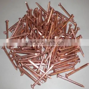 Stainless Steel 304 Nail thumbnail-5