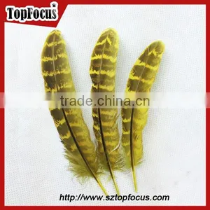 Comfortable Ornate Short Prom Dresses With Fly Tying Pheasant Feathers thumbnail-2