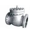 Swing Check Valve thumbnail-1