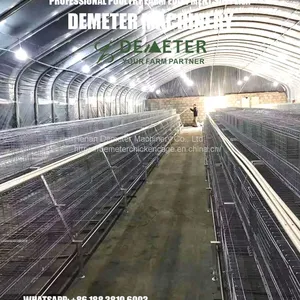 Chicken Cage Africa Market Poultry Farm Project thumbnail-3