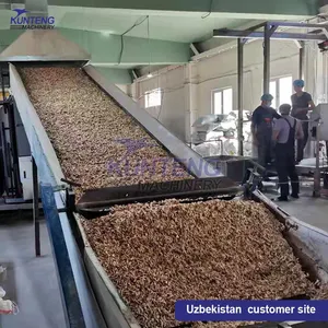 Automatic Continuous Drying Machine Peanut Chickpea Mesh Belt Drying Machine EPC thumbnail-4