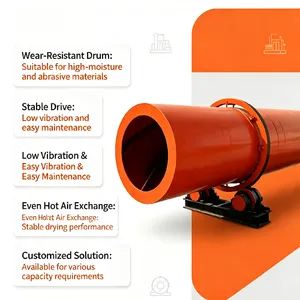 Continuous Rotary Dryer for High Moisture Sewage Sludge thumbnail-3