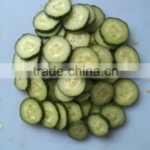 2016 High Performance Commercial Vegetable Dicer thumbnail-2