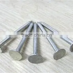 Galvanized Clout Nails Factory thumbnail-5