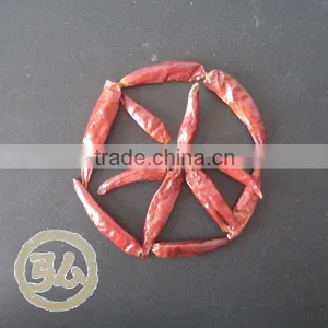 China New Crops,dry Hot Red Chaotian Tianying Tianjin Chilli thumbnail-3