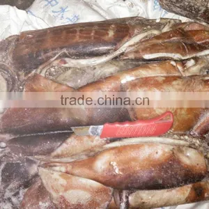 Giant Squid Fillet, Surimi Raw Material, Peru Squid Bits and Pieces thumbnail-6