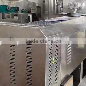 Artificial Rice/Nutritional Rice/Reconstituted Rice Making Machine/Equipment/Production Line thumbnail-2