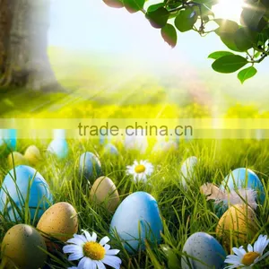 Two Haves Toy Inside Clear Plastic Easter Eggs Wholesale thumbnail-6