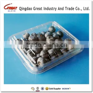 2016 HOT Sale for Manufacture Plastic Packaging Boxes for Fruit Blueberry thumbnail-4
