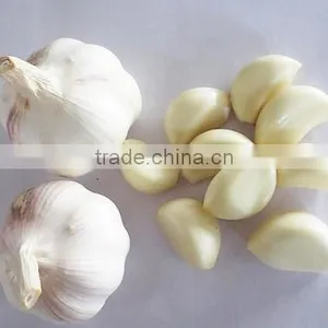 2016 NEW CROP GARLIC thumbnail-4