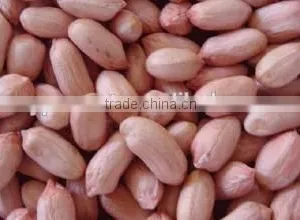 Peanut Importers thumbnail-1