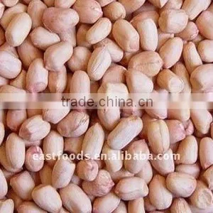 Peanut Kernel Round Type From China thumbnail-3