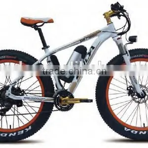 Snow Ebike, Fat Tire Ebike, TDE26M010 thumbnail-1
