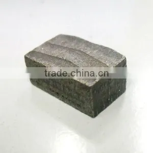 1200mm Diamond Segment thumbnail-1