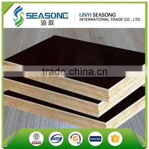 China Wholesale Market Film Faced Plywood for Construction thumbnail-6